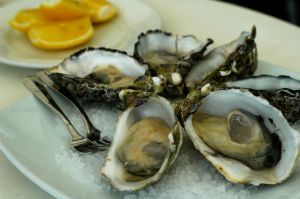 Oysters in Adelaide, Australia